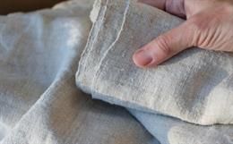 Regenerative Fibres in Fashion: How Hemp, Flax, and Nettle Are Transforming Sustainable Textiles